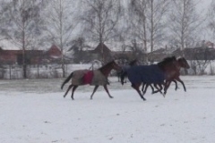 posledni